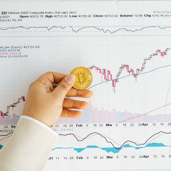 Investment portfolio dashboard with upward trending stocks